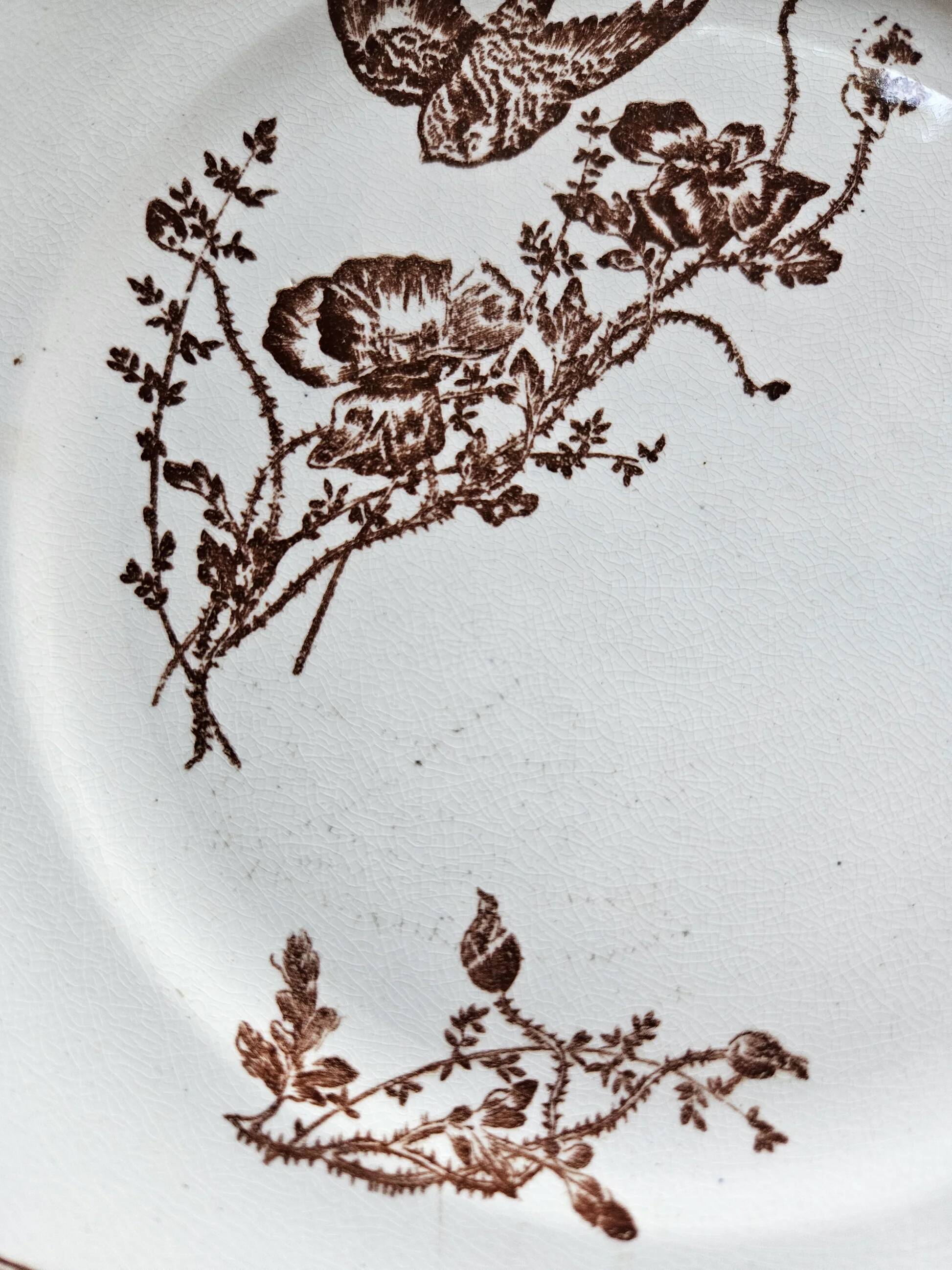 Ironstone dessert plates, poppies