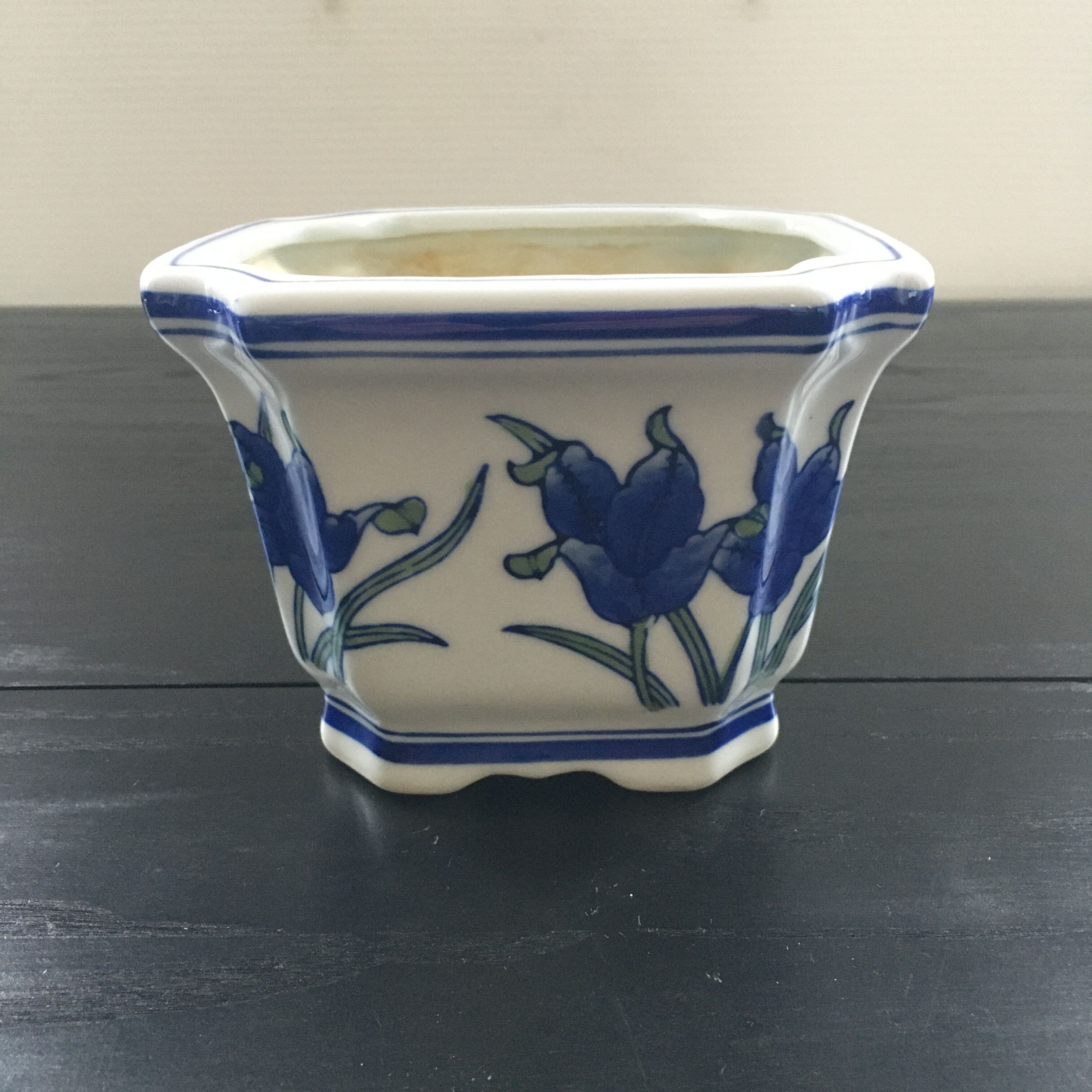 Blue iris pot cache.