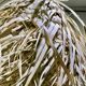 Wicker and raffia suspension