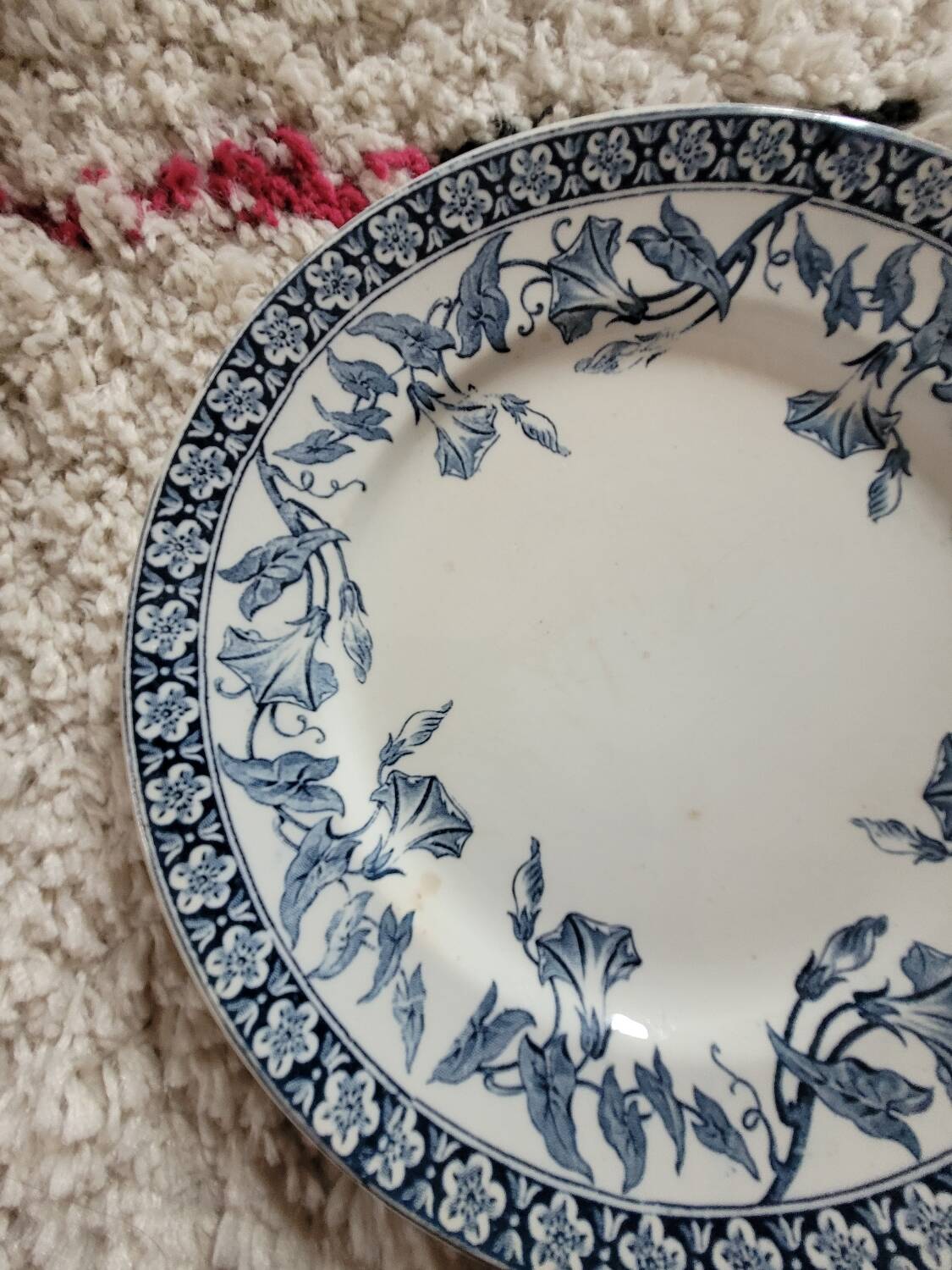 Volubilis Saint Amand and Hamade Nord flat plate