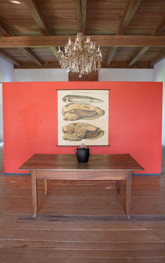 Poster vintage from the beginning of the 20th century Pfurtscheller Zoological graphic wall molds of painters