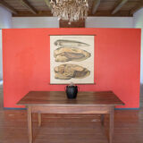 Affiche vintage du début du 20e siècle Pfurtscheller zoologiques mur graphique moules de peintres