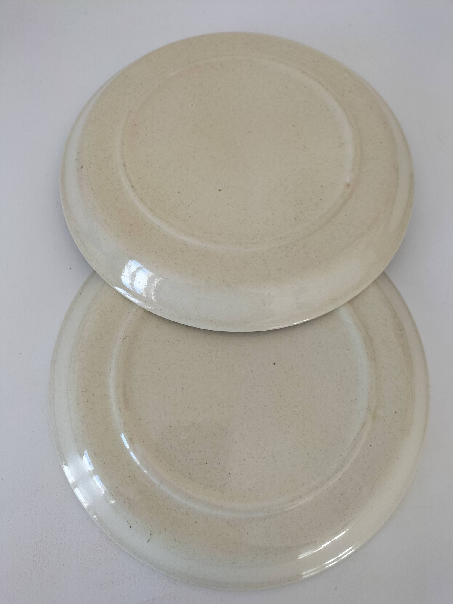 A pair of vintage plates with a rust-brown thistle design – 1950s.