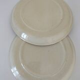 Pair of vintage plates with rusty brown thistle decoration – 1950s