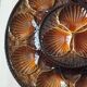 large earthenware dish for oysters or scallops