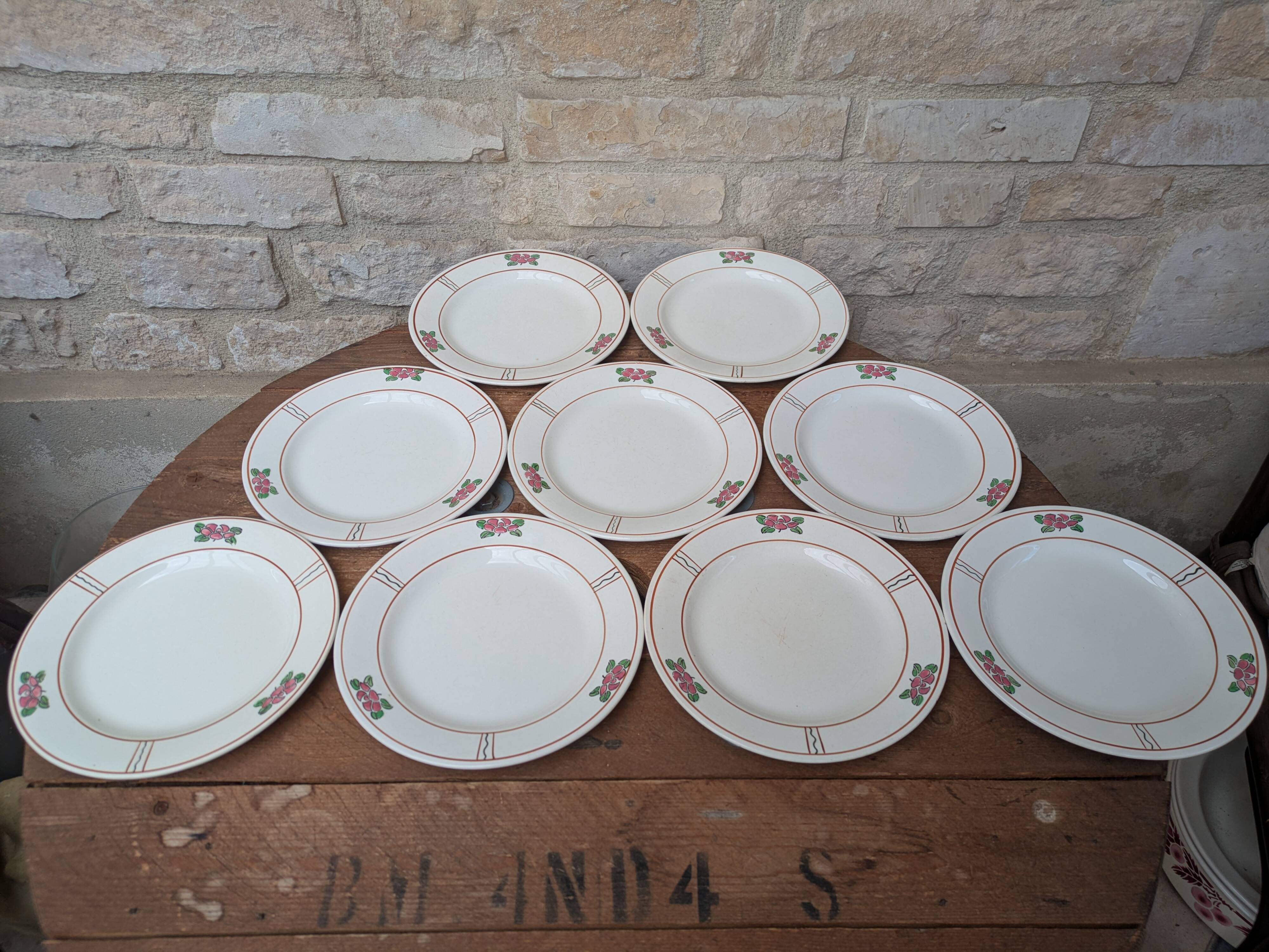 9 old flat plates in Salins ironstone model Nénuphar 24.5cm