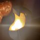 Sculpted stone lamp from the 1970s, signed.