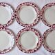 Lot 6 old plates St Amand Ceranord model Magnolia