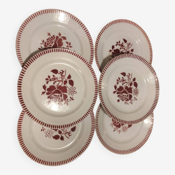 6 Assiettes Lunéville 22 cm