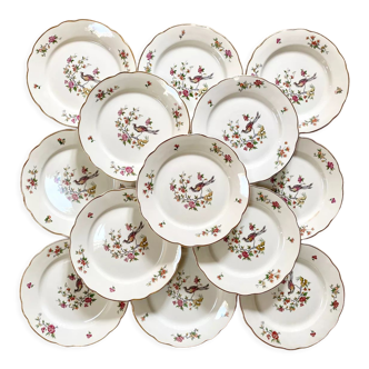 Sarreguemines flat plates