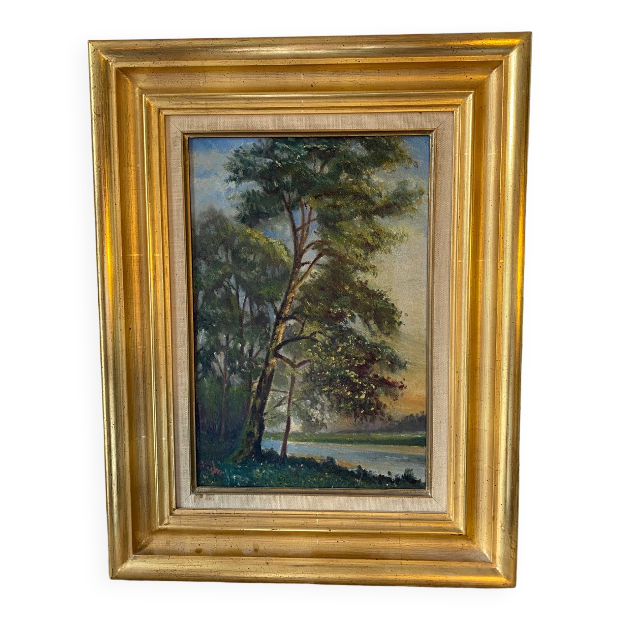 French school tree landscape