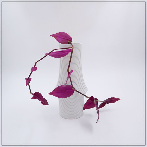 Vase en porcelaine Op Art par Royal Bavaria KPM, Allemagne, années 1970