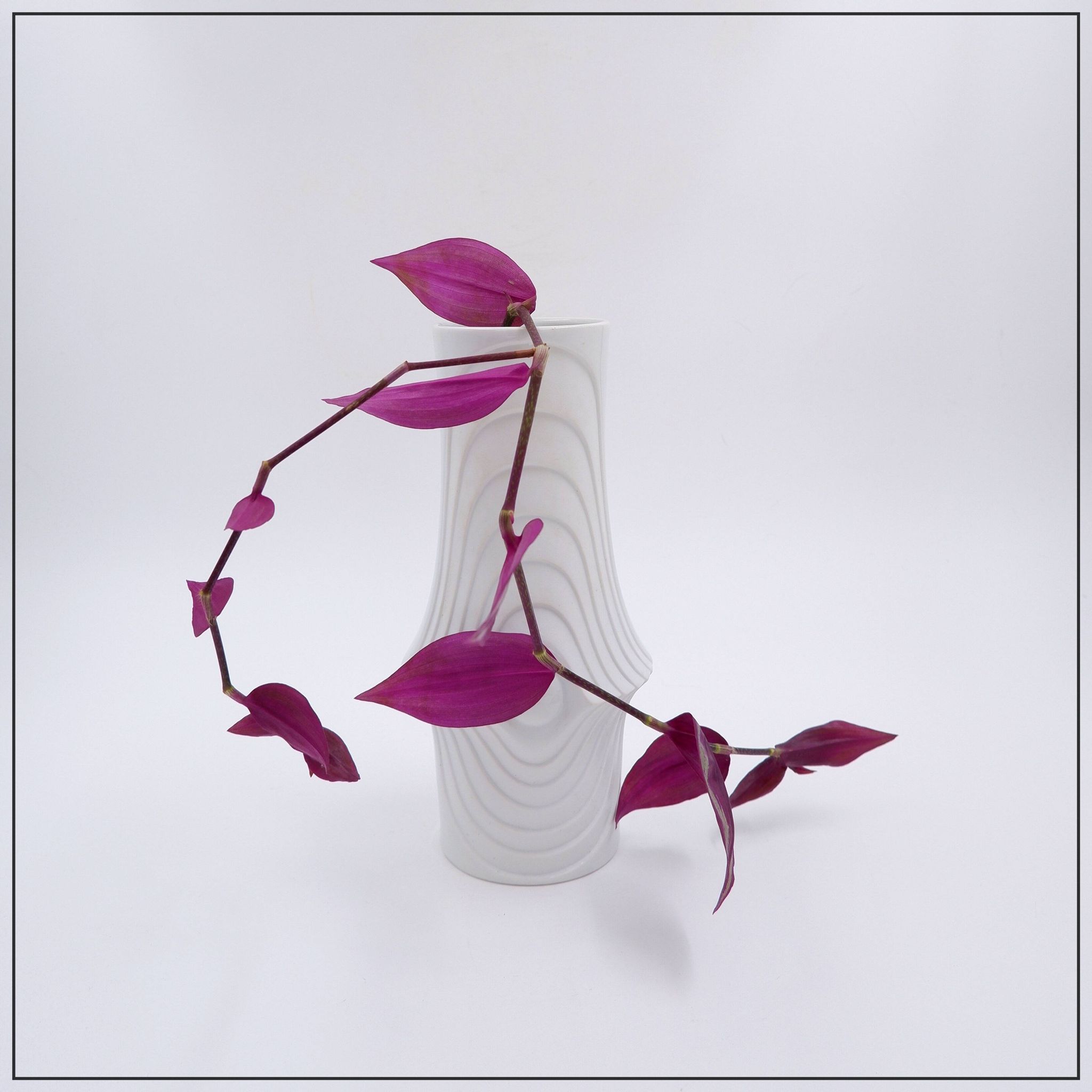 Vase en porcelaine Op Art par Royal Bavaria KPM, Allemagne, années 1970