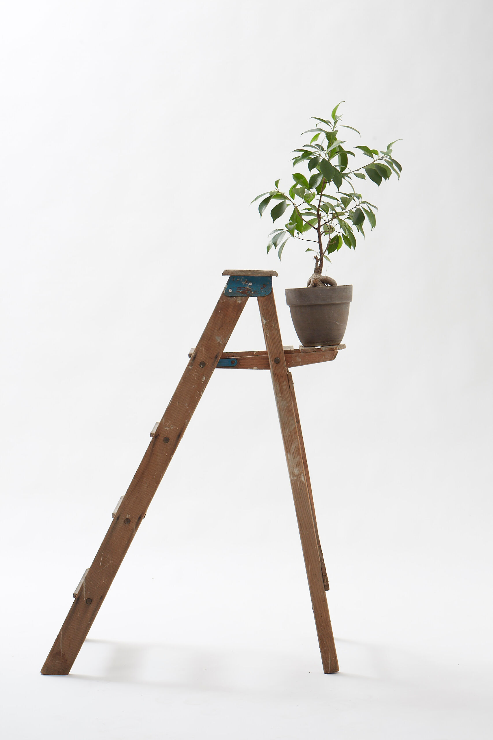 Wooden painter's stepladder