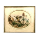 Painting old bird Ornithology nineteenth 1862
