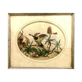Painting old bird Ornithology nineteenth 1862