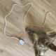 Brass floor lamp