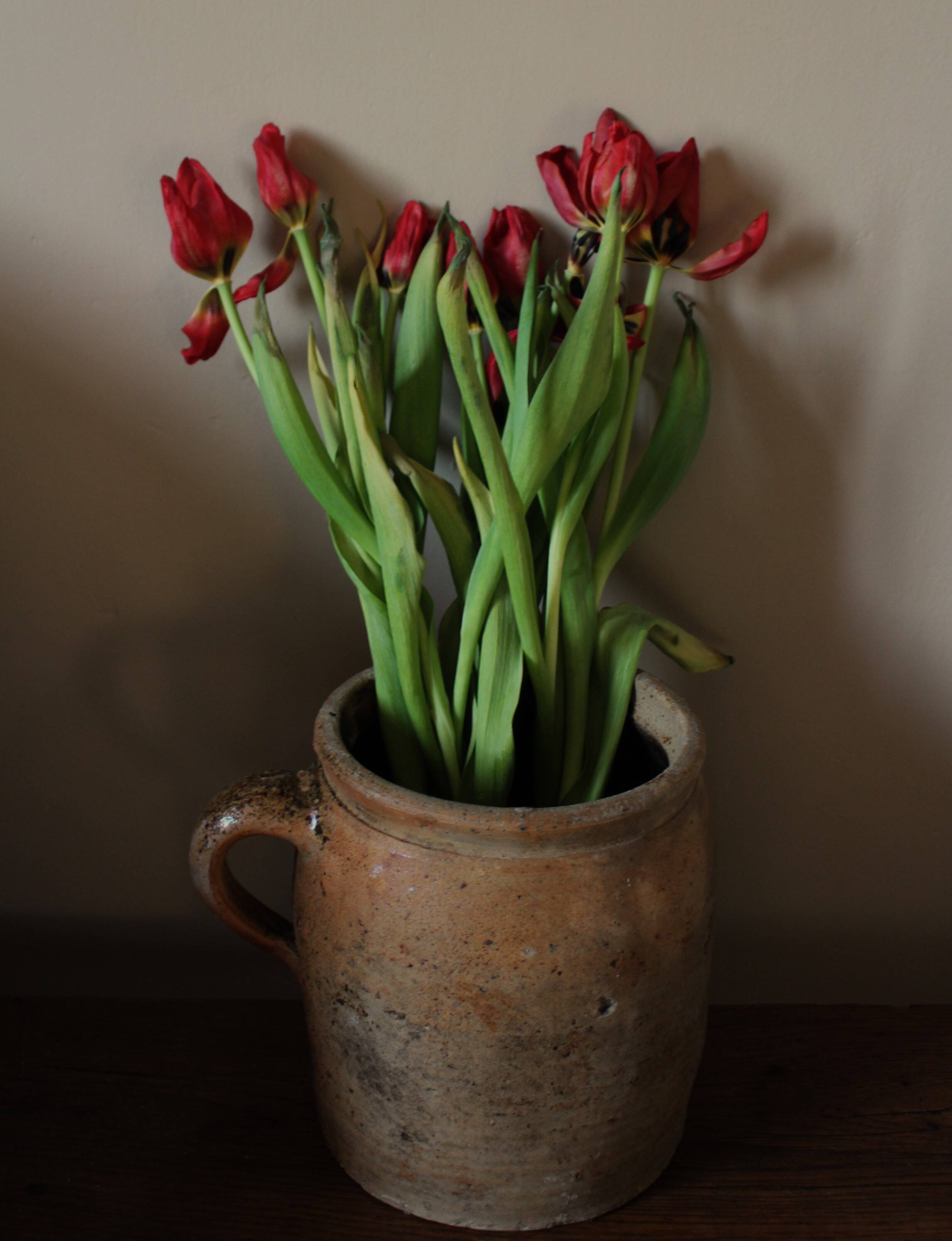 Large round terracotta pot with handle