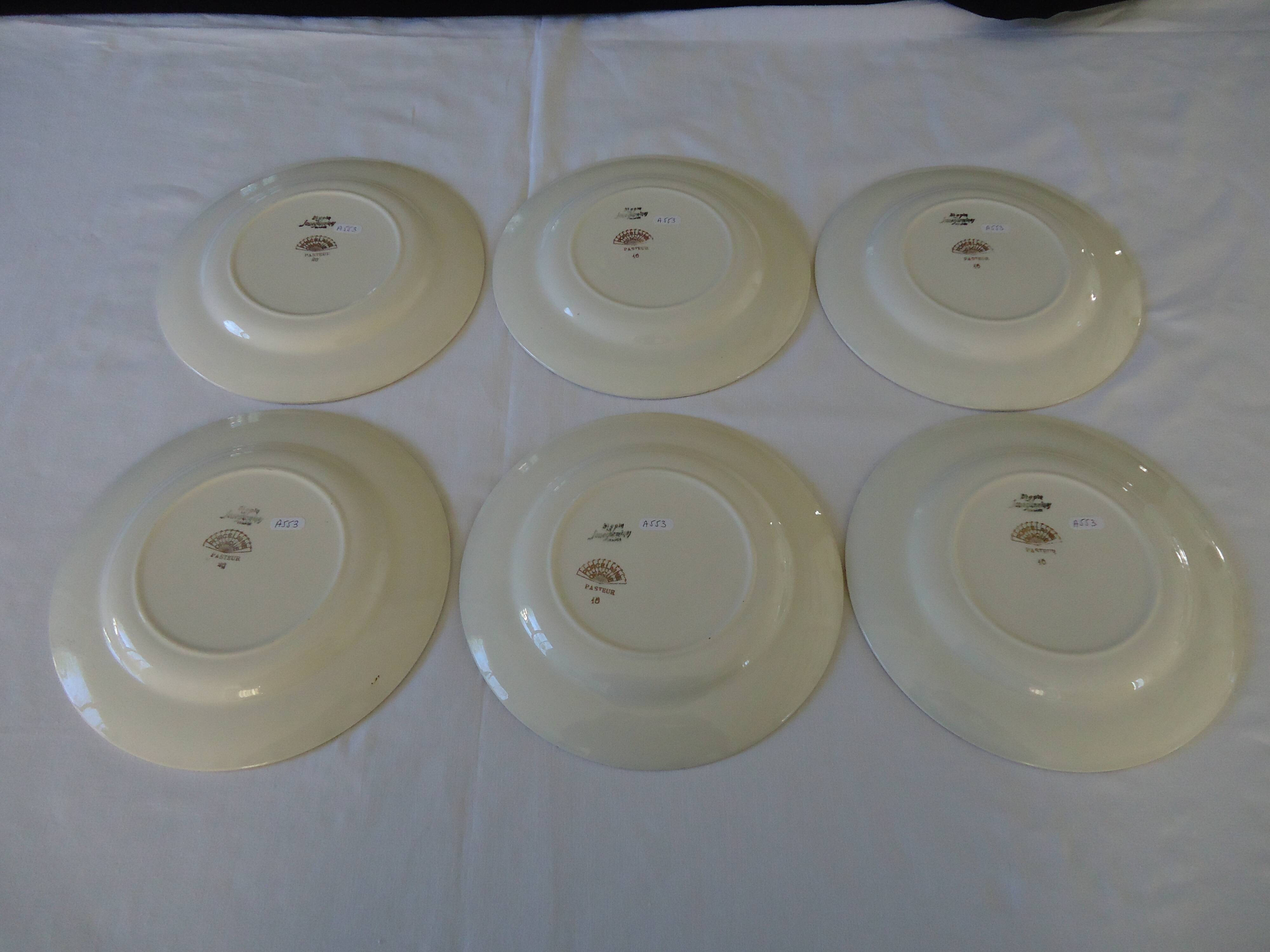 Digoin sarreguemines opaque porcelain dinner plates, pasteur pattern