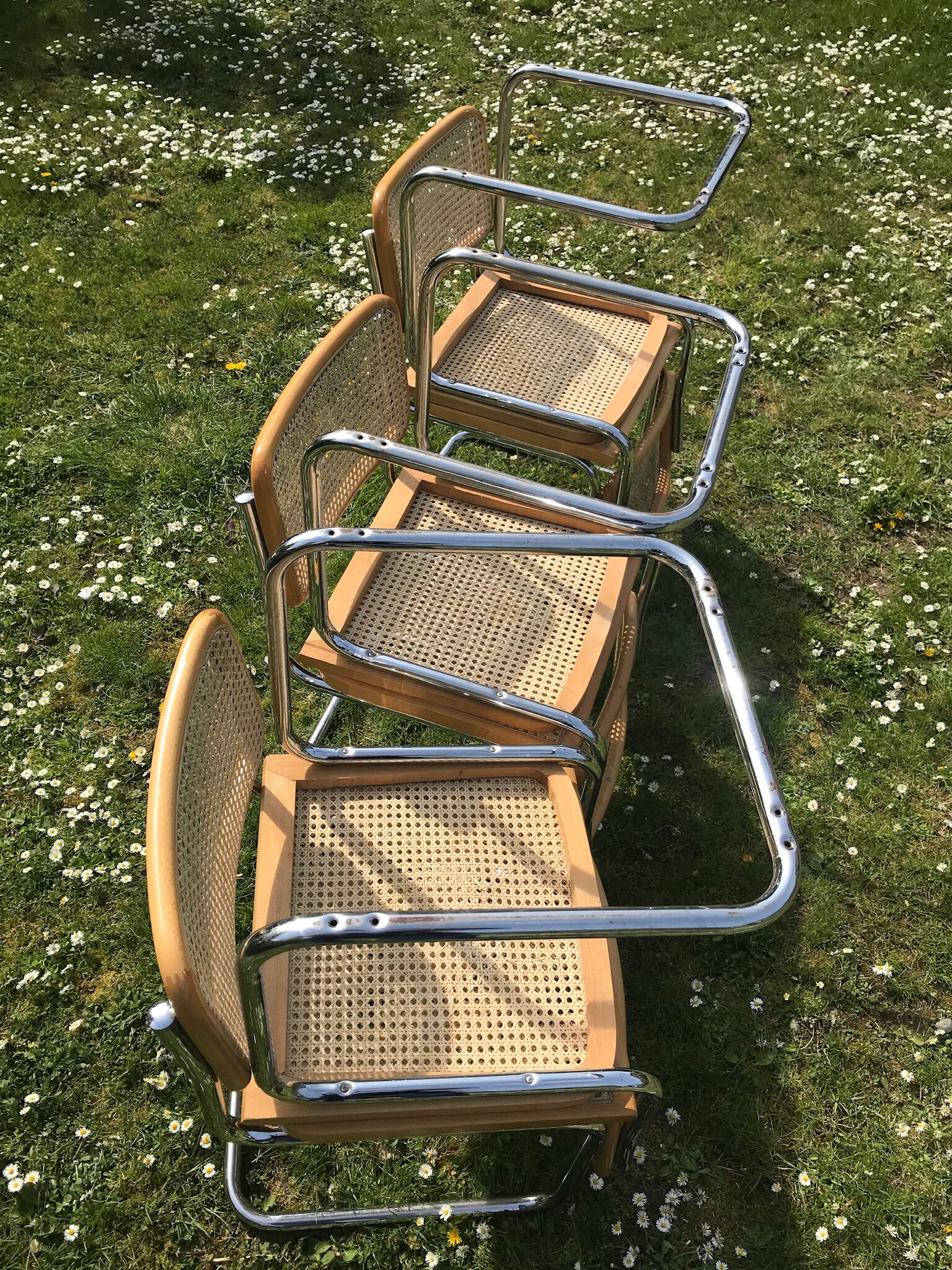 Set of 6 chairs cesca b32 design Marcel Breuer italy