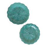 Duo of plates in slip