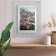 Cut, Corsica, vintage, photo board printed in 1935.