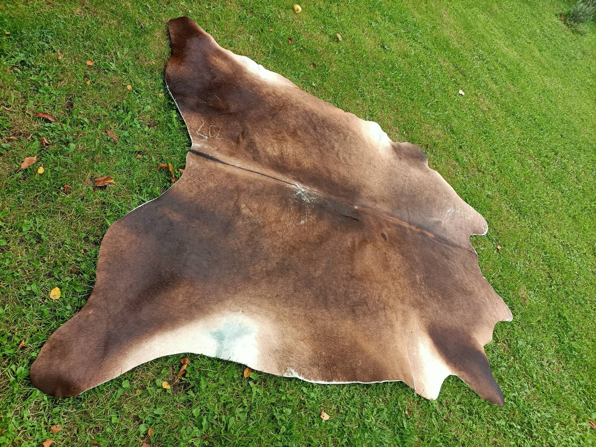 Cowhide Rug