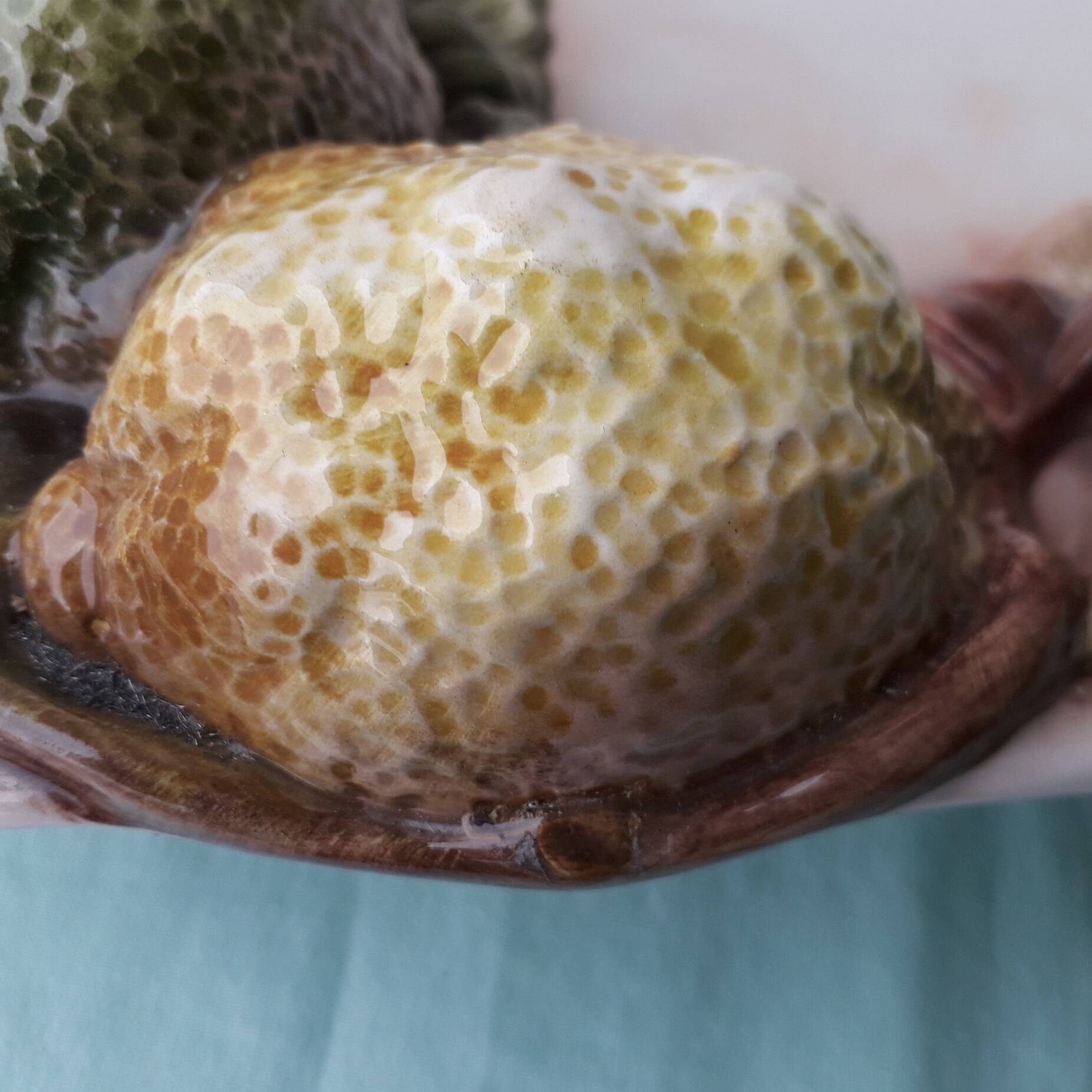 Chaumette Italy lemon barbotine dish
