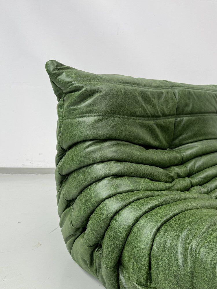 Togo 3-Sofa in Green leather attributed to Michel Ducaroy for Ligne Roset