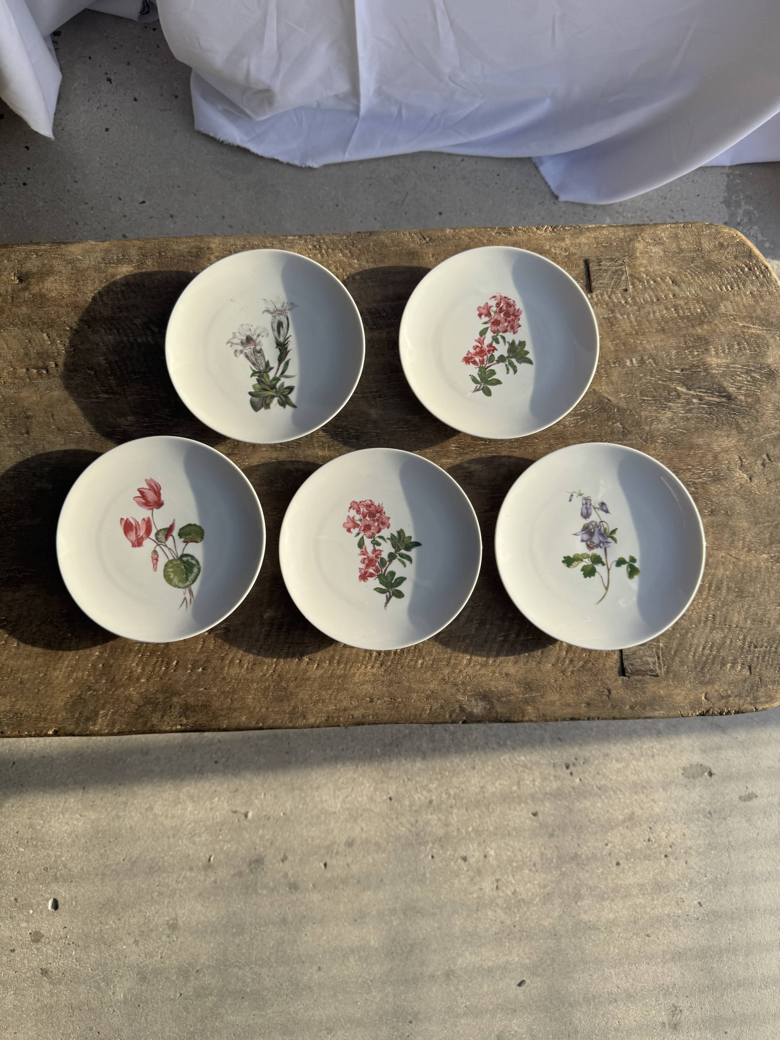 Set of 5 dessert plates with flower patterns Germany Bavaria D19