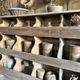 Ancien grainetier , meublé casiers en bois