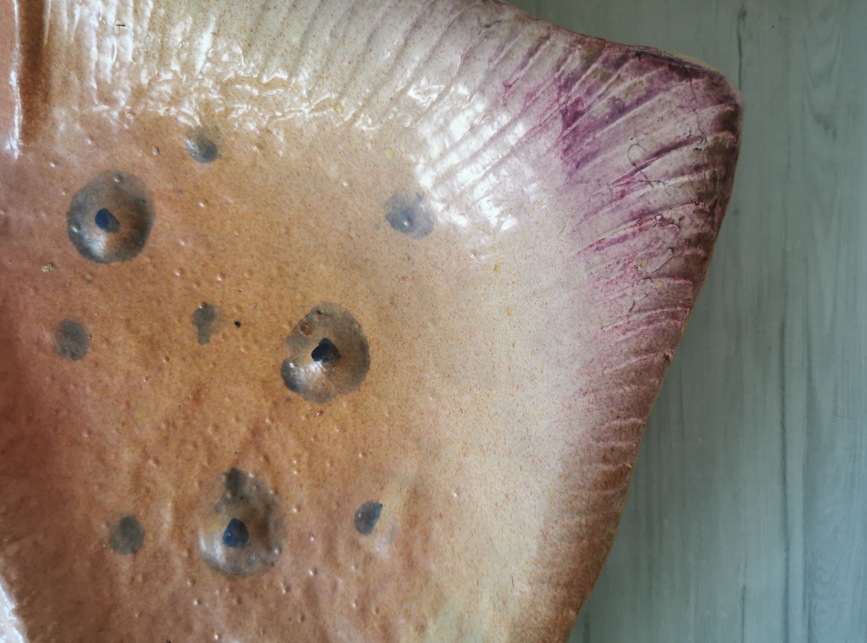 Zoomorphic dish ray