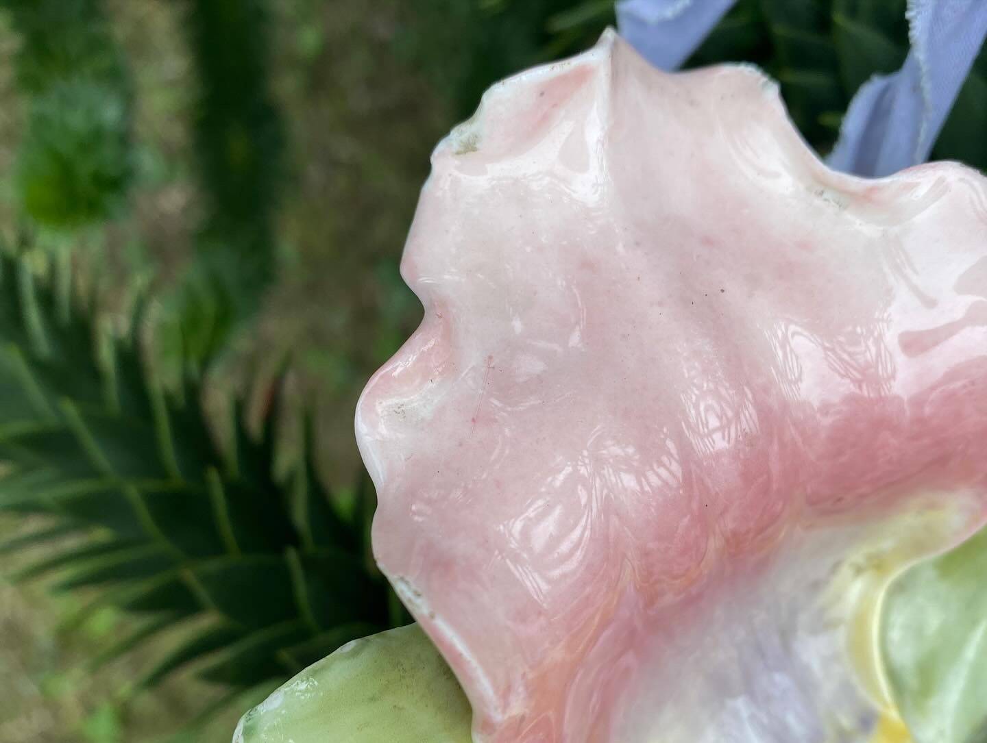 Large clematis slip pocket emptier