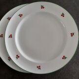 2 assiettes aux motifs de cerises