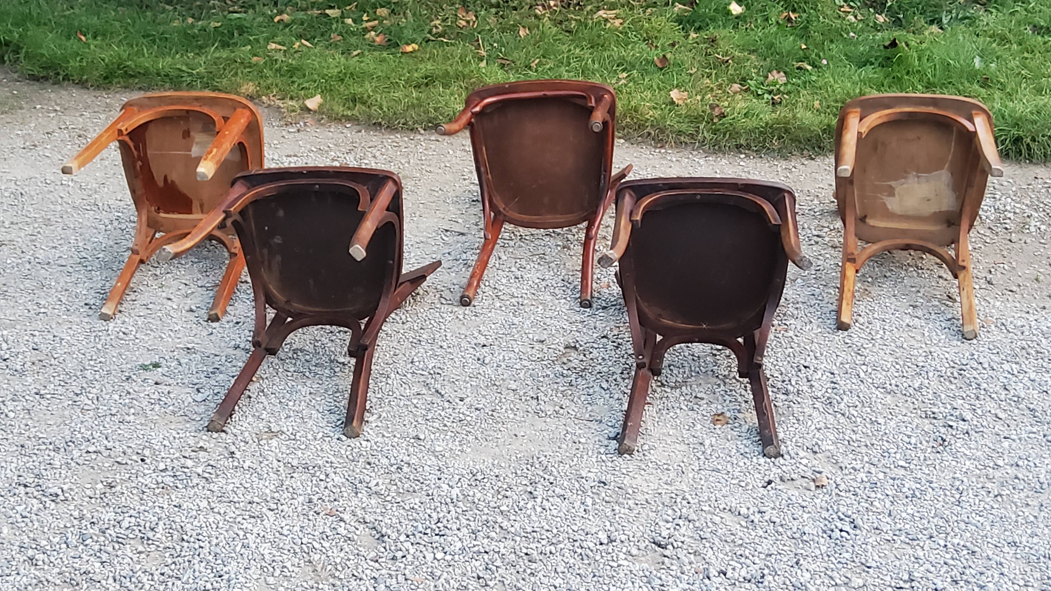 Set of 5 Stella Thonet bistro chairs from the 1950s
