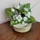 Set of 6 Limoges porcelain plates