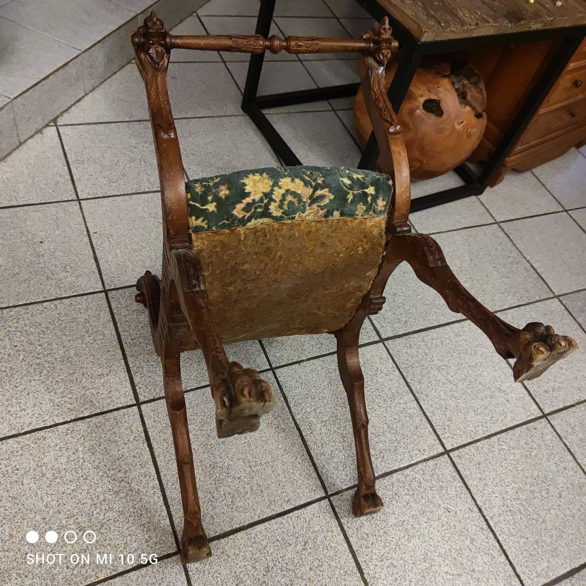Dagobert curule armchair in walnut