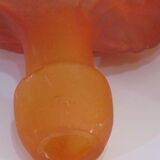 Vases