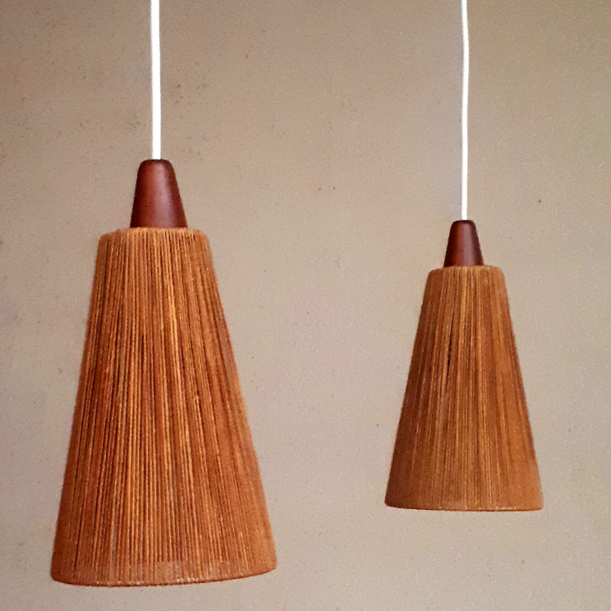 Hanging Temde Leuchten duo of lights