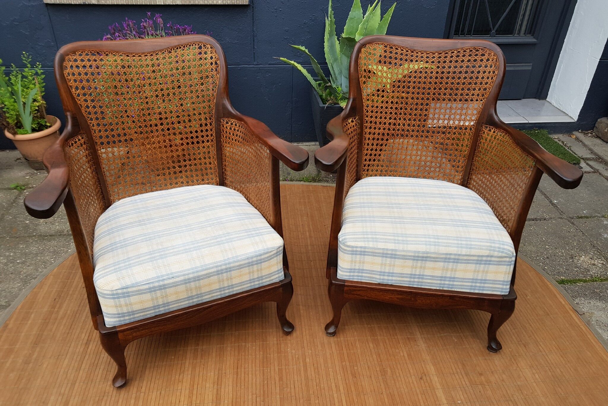 English canine armchair