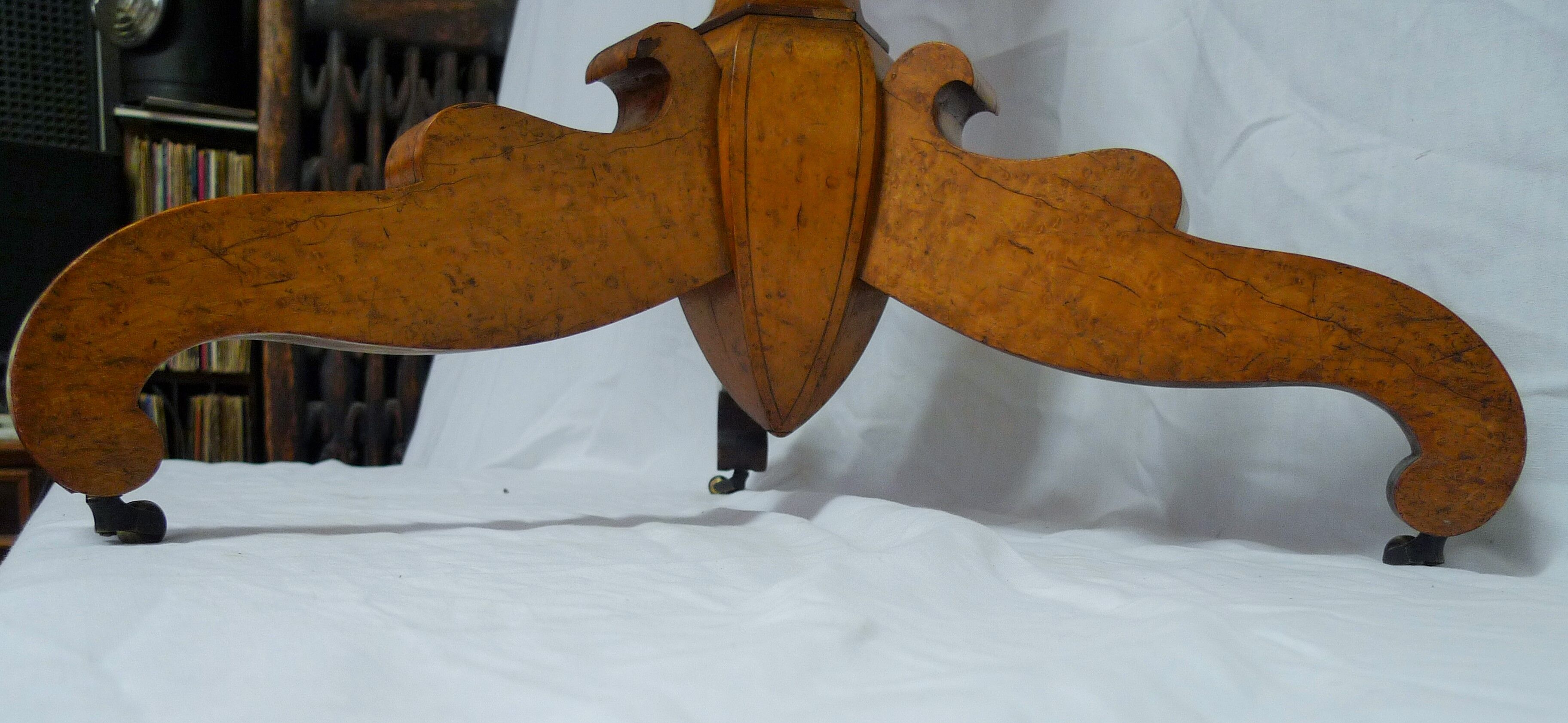 Tipping gerdone lemon tree magnifying glass