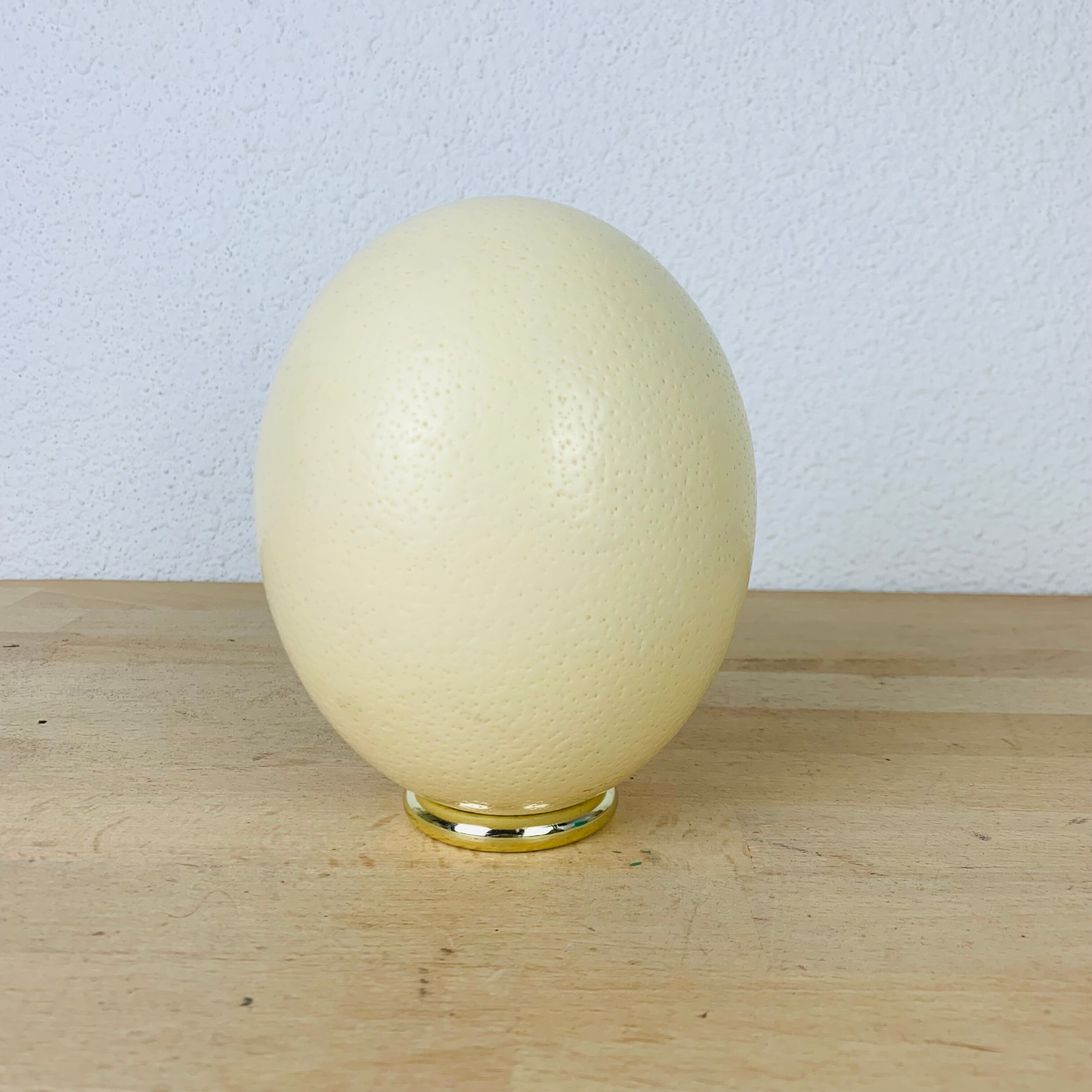 Golden ostrich egg object of curiosity