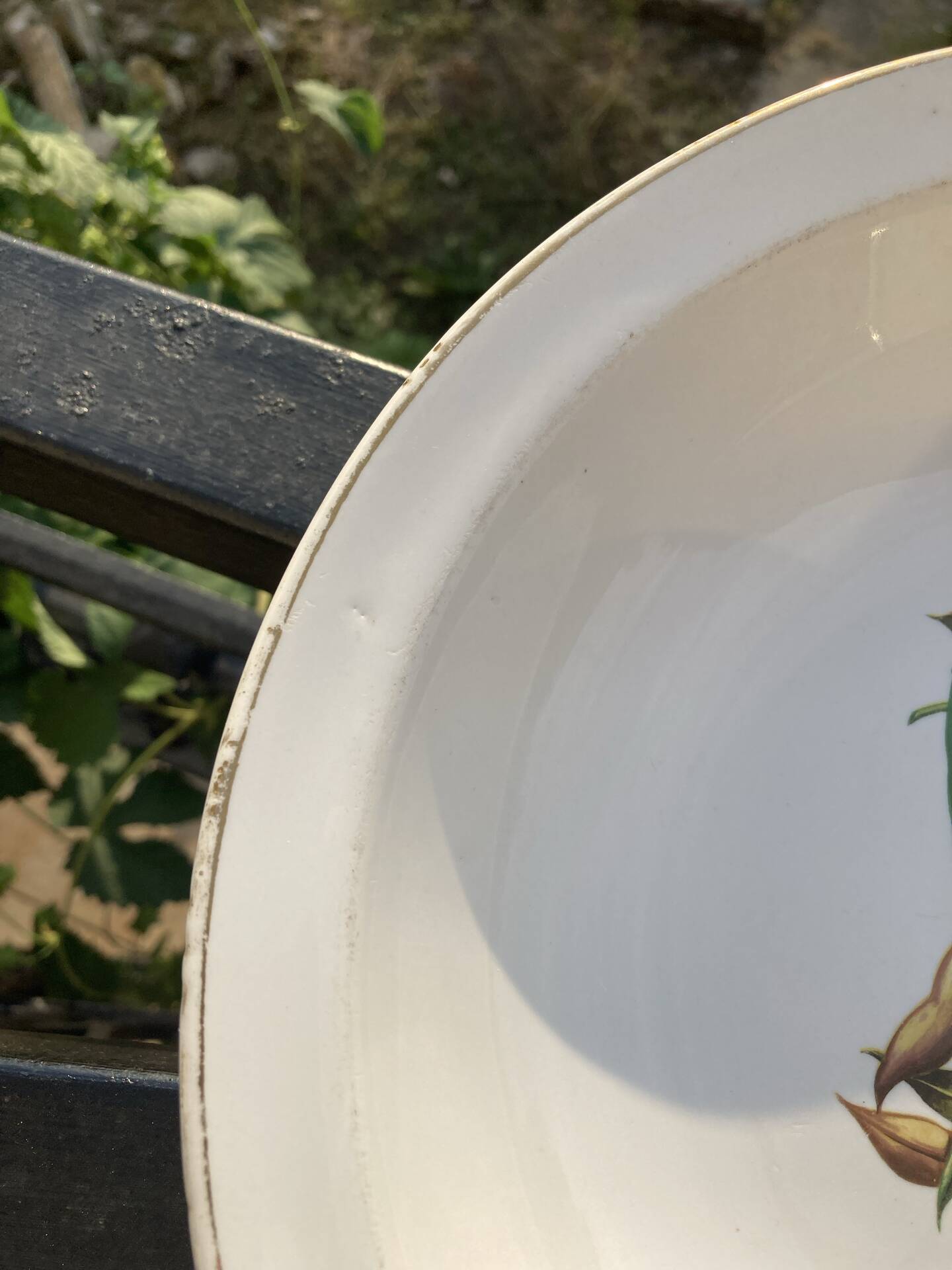 Fireproof porcelain serving dish Gien France botanical pattern