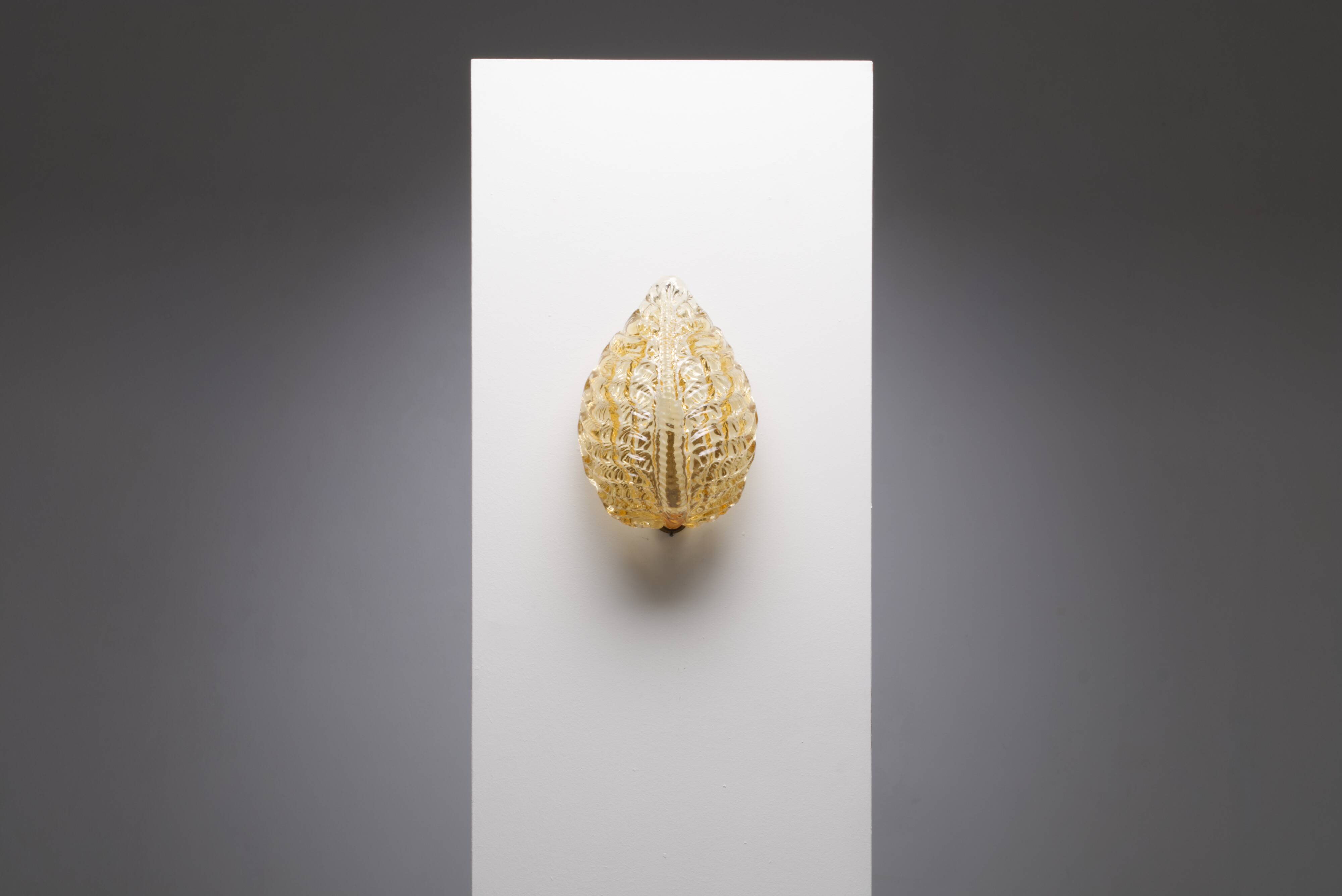 Carl Fagerlund seashell wall lamp