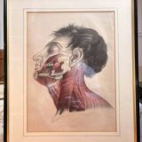 Print Engraving 19th Century The Salivary Gland Head Anatomy William Bagg