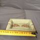 Antique Ashtray Pocket Dish Ceramic Koi Carp Celadon Qianlong Qing China