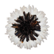 Juju hat brown/white 40cm