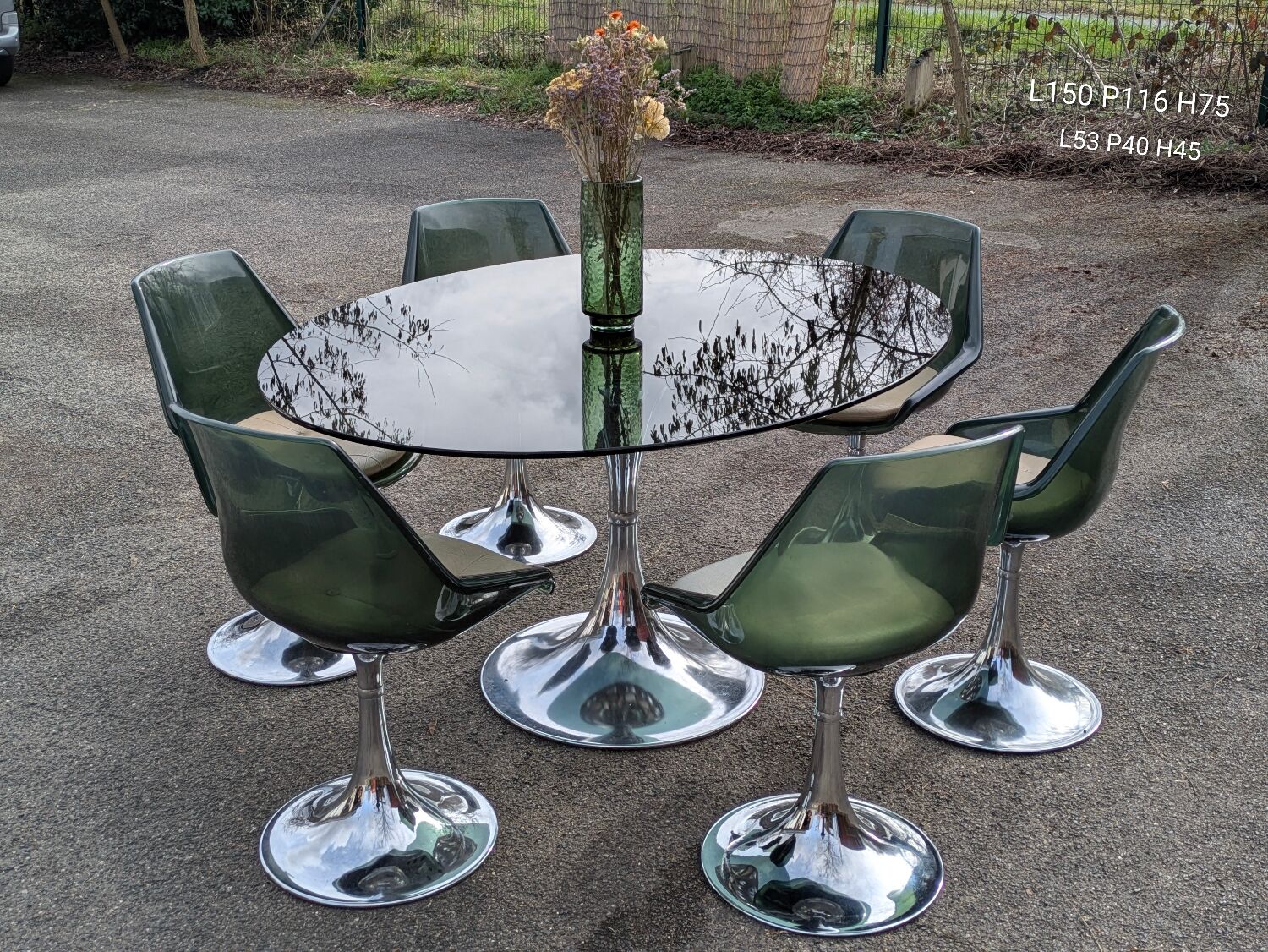 Oval dining table & 6 Gastone Rinaldi vintage chairs Roche Bobois