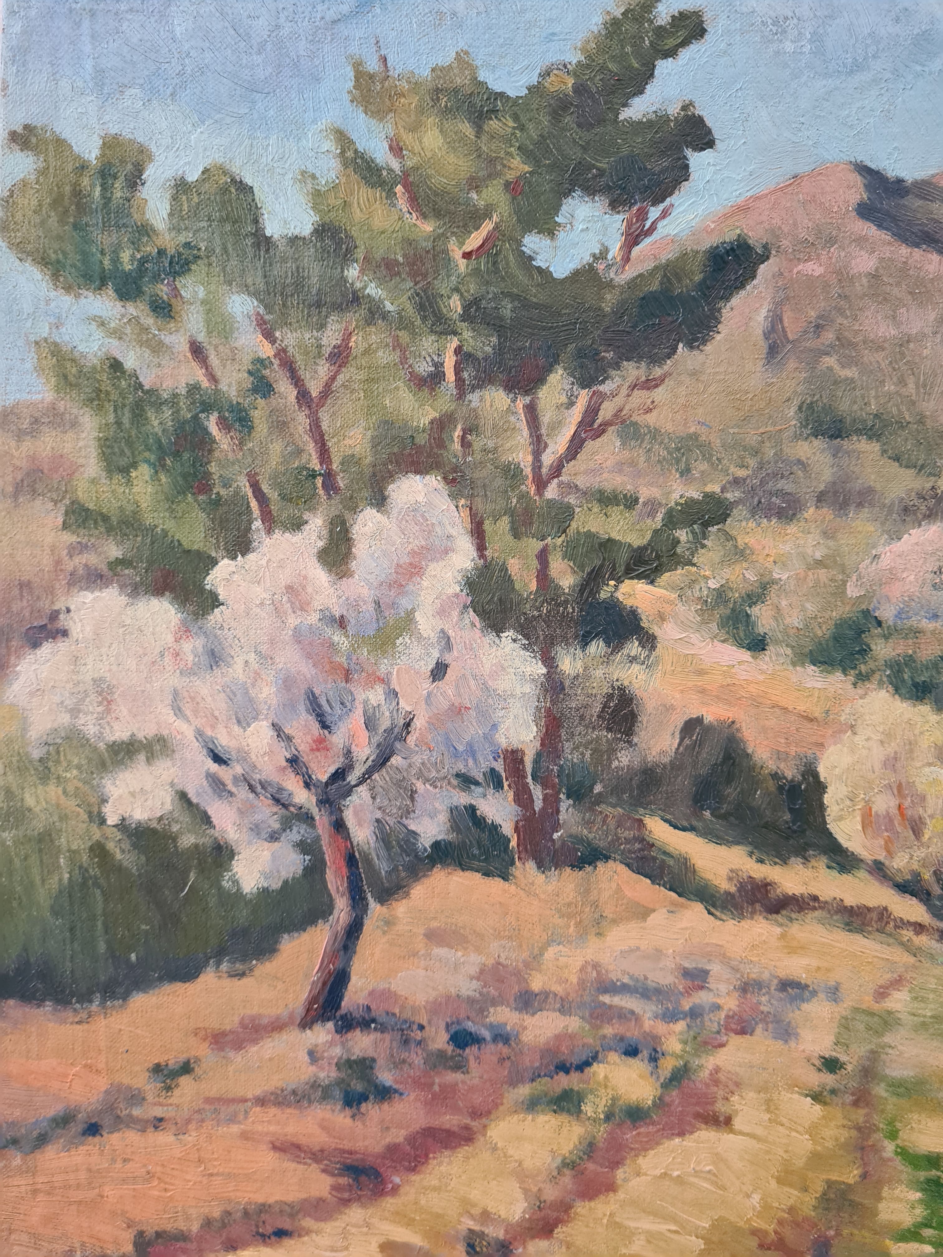 Le Garlaban - Oil on panel - 1951