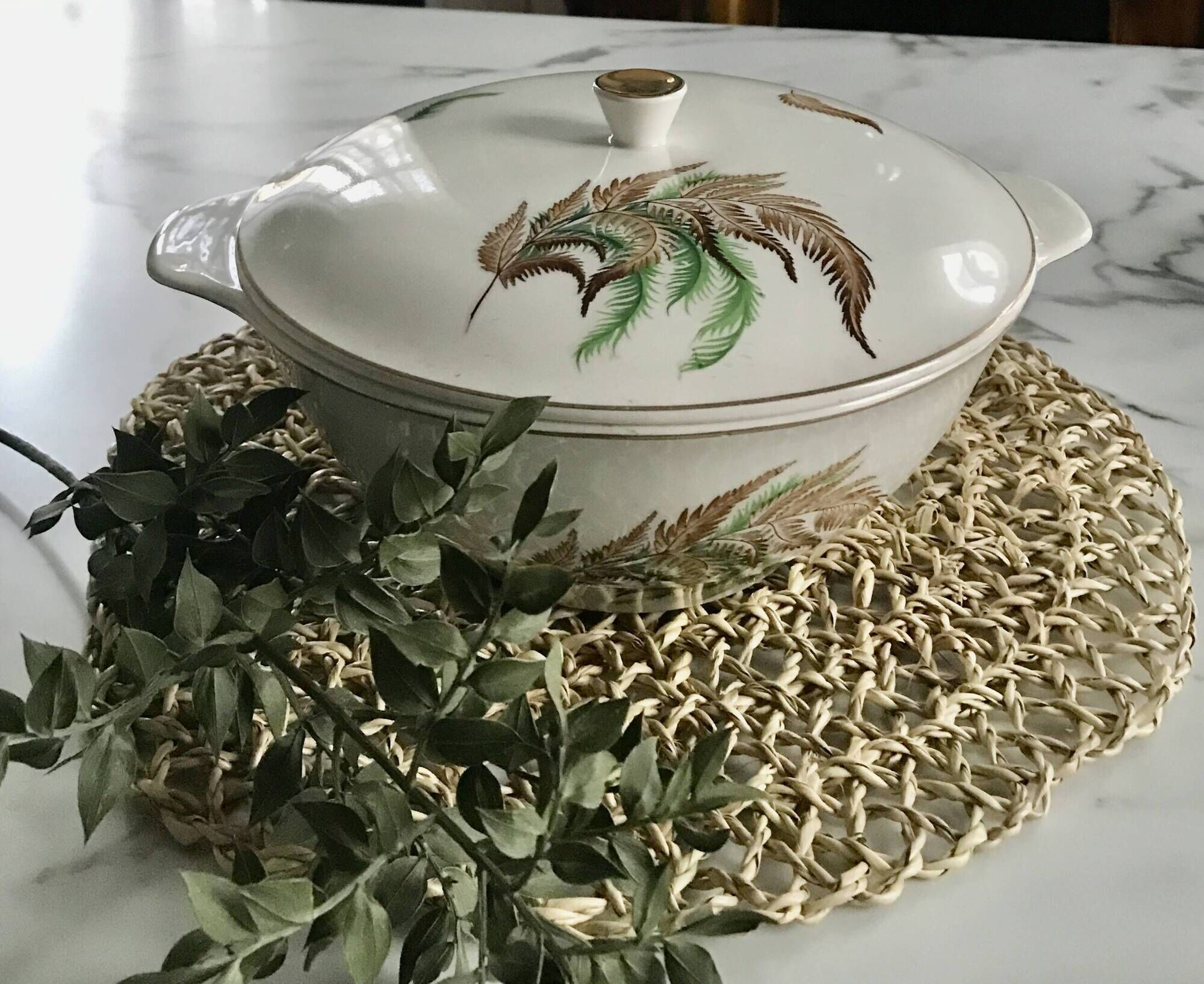 Very pretty vintage Digoin Sarreguemines fern soup tureen